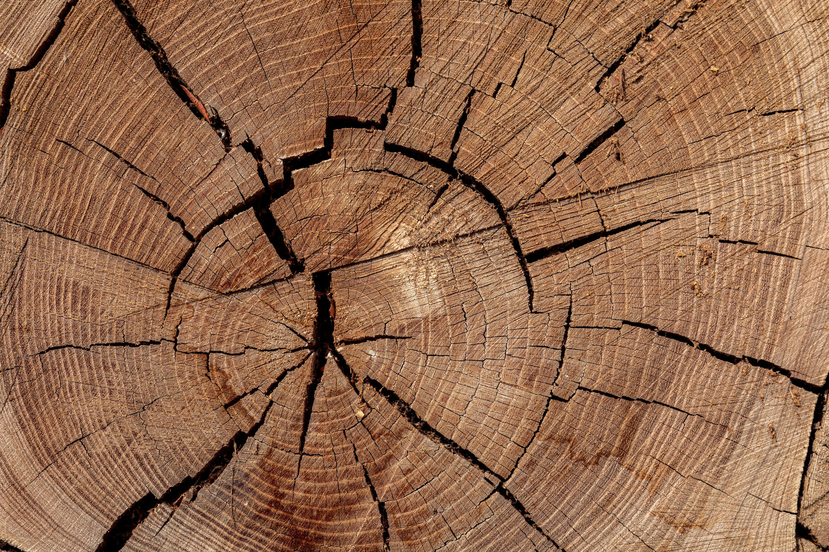 Eichenholzprodukte Hero