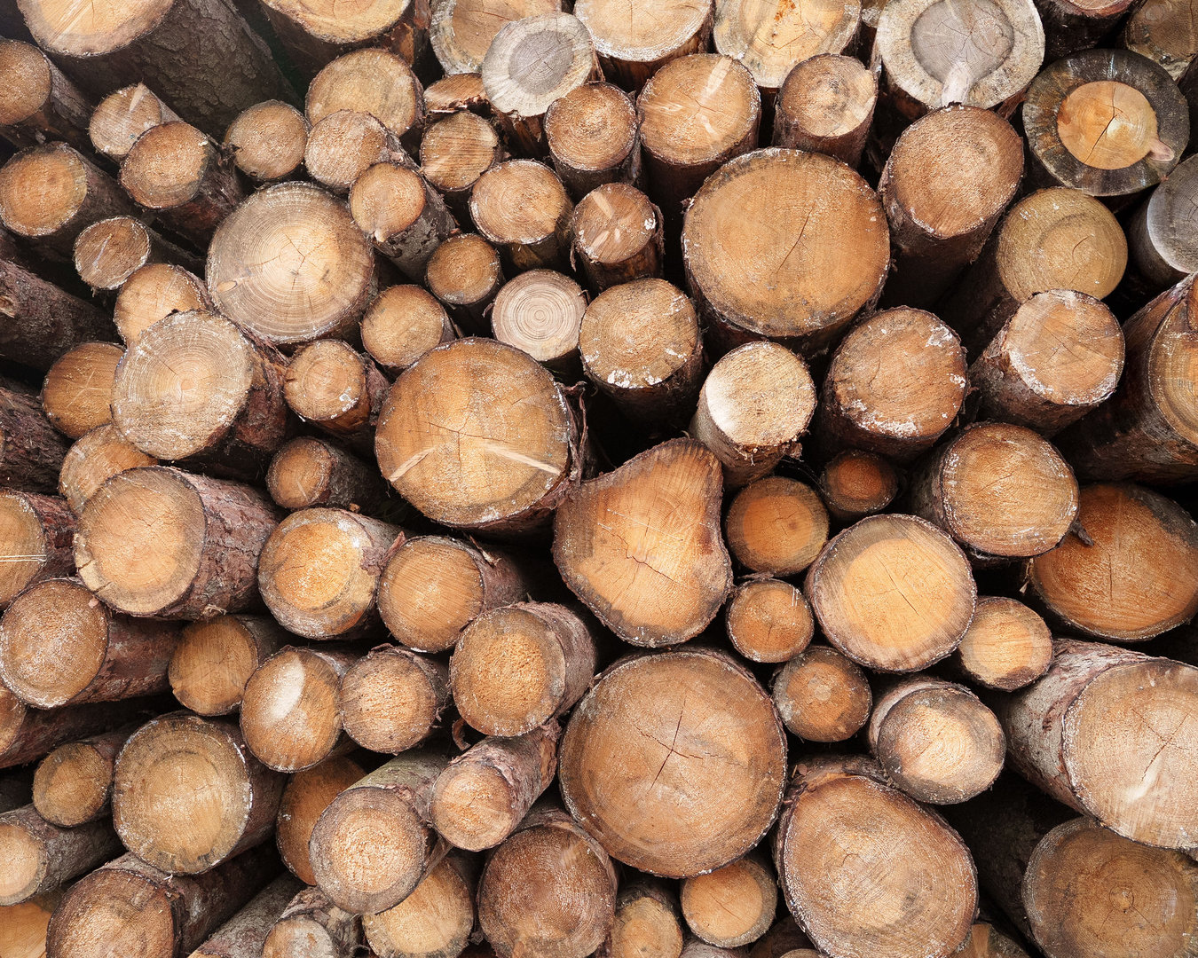 Nachhaltigkeit Abschnitt Unsere Ziele