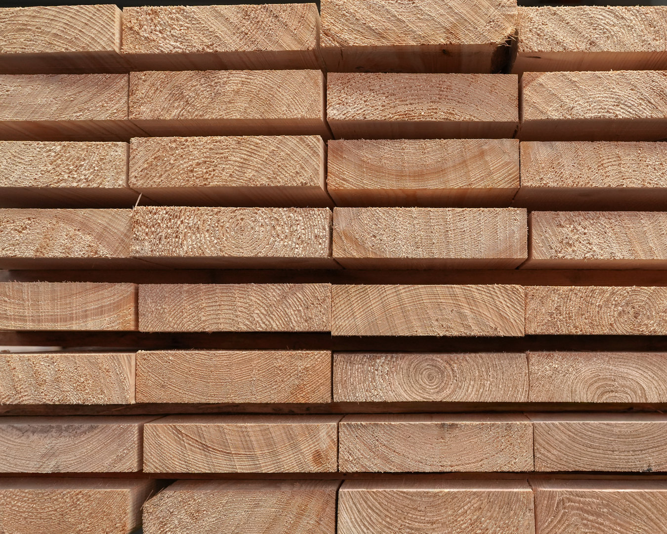 Säge- und Hobelwerk Produkte Dielen Großaufnahme